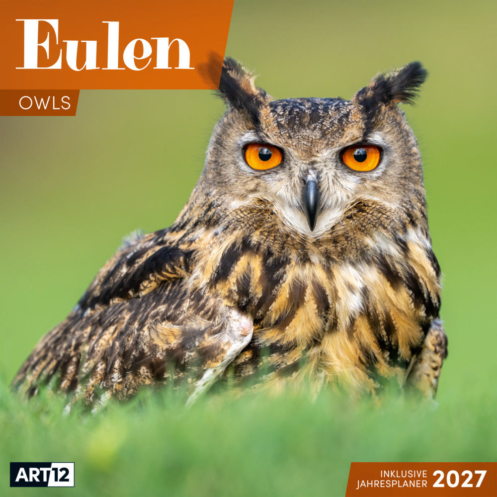 Eulen Kalender 2027 - 30x30 - Art12 (Ackermann Kunstverlag Gmbh)