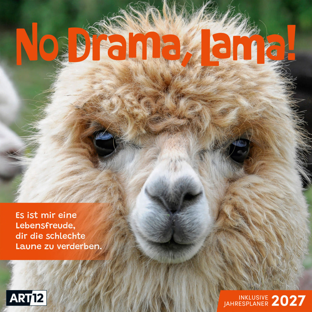 No Drama, Lama Kalender 2027 - 30x30 - Art12 (Ackermann Kunstverlag Gmbh)