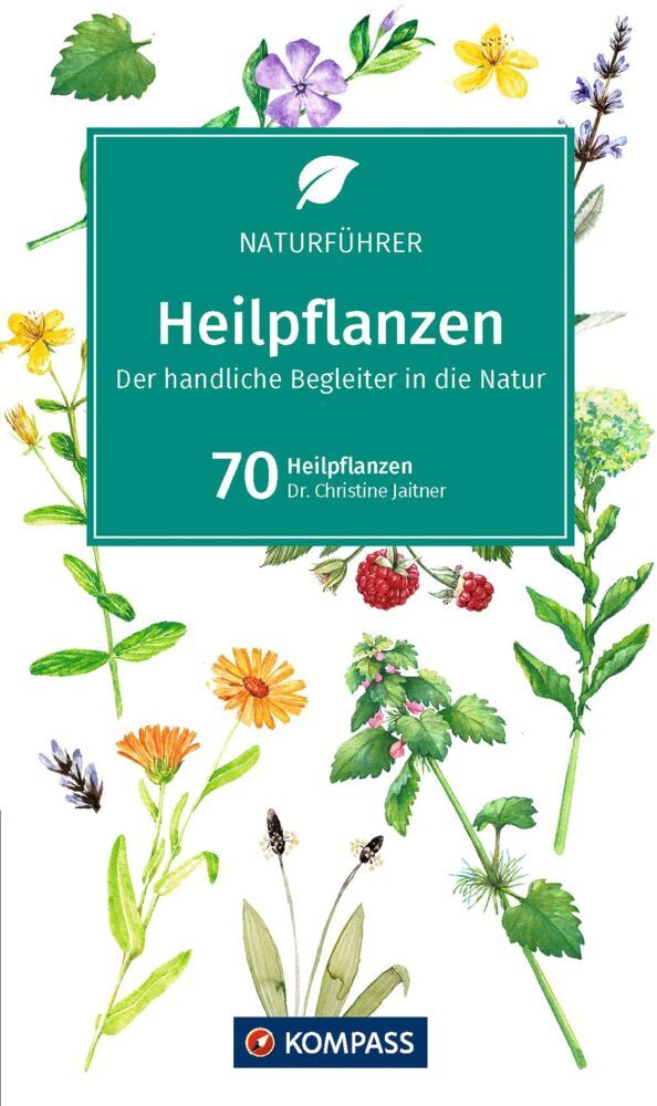 KOMPASS Naturführer Heilpflanzen, der handliche Begleiter in die Natur (Christine Jaitner)