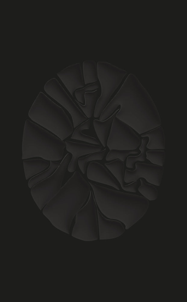 Haegue Yang. The Great Forgetfulness (Haegue Yang)