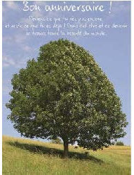DK Kultura: Bon Anniversaire, arbre Französisch hoch, F 4509-000