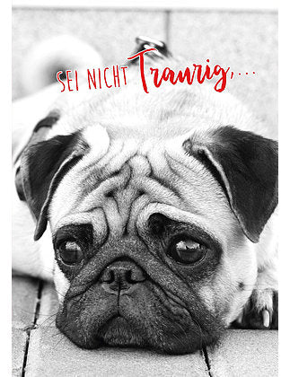 97921; Soundkarte Sei nicht Traurig