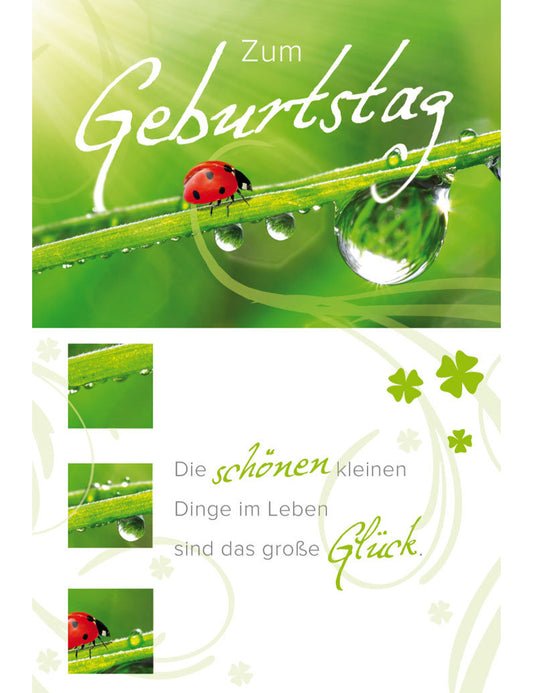 DK Geburtstag