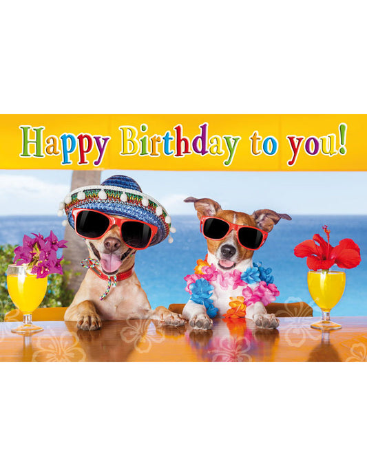 DK Geburtstag