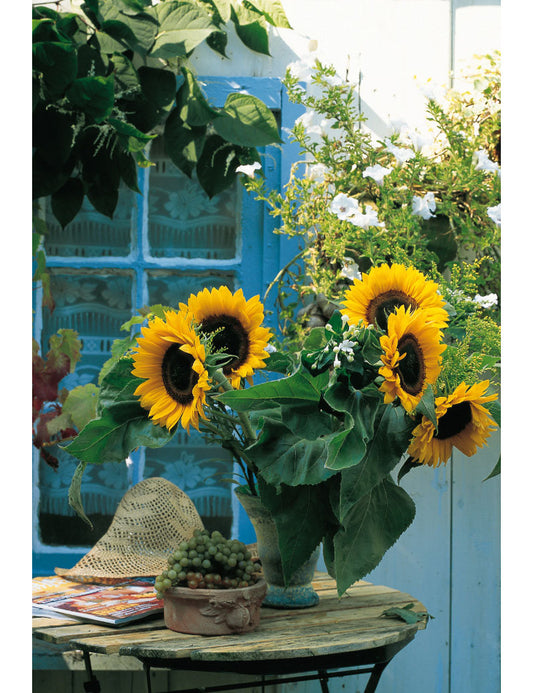 DK Emotion Vase Mit 5 Sonnenblum Emotion