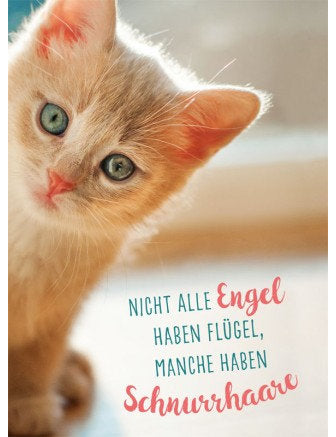 Postkarte Lichtblicke hoch