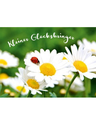 Postkarte Lichtblicke quer