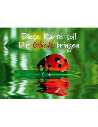 Postkarte Lichtblicke quer