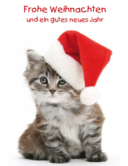 DK Emotion Weihnachten Emotion hoch