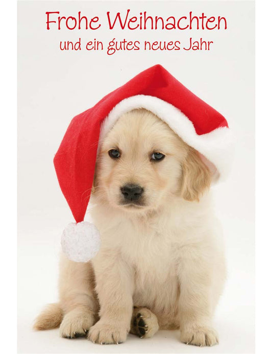 DK Emotion Weihnachten Emotion hoch