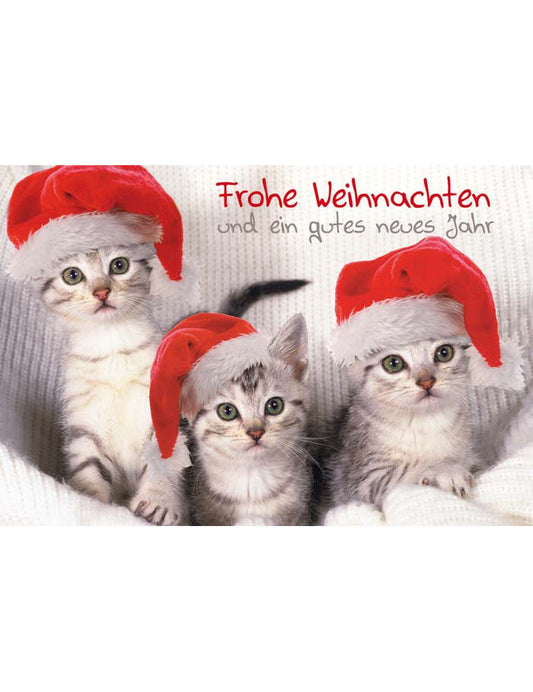 DK Emotion Weihnachten Emotion quer