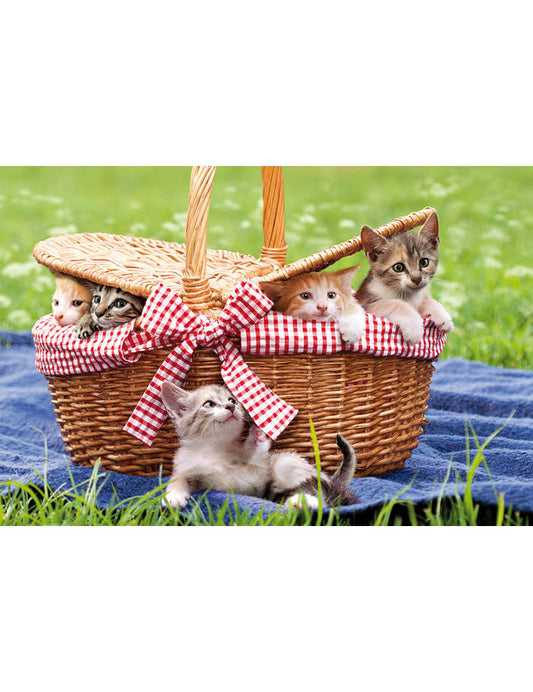 Doppelkarte Premium Line Katzen / blanko