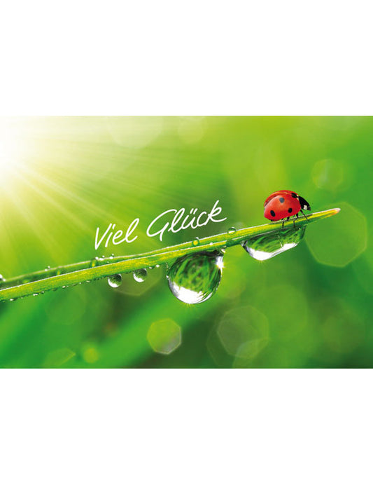 DK Emotion Viel Glück Emotion