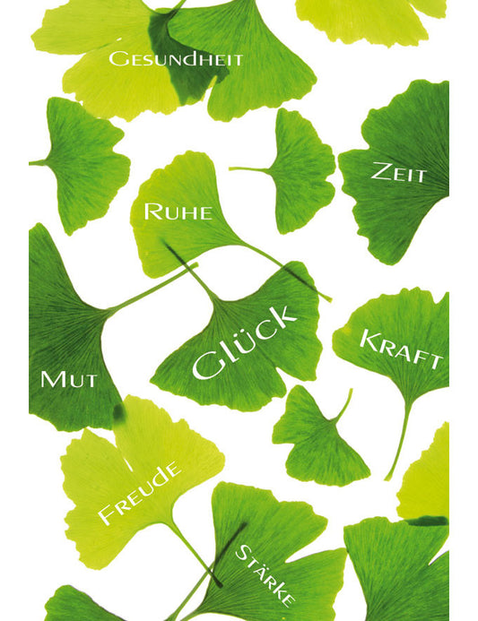 DK Emotion Ginko Emotion