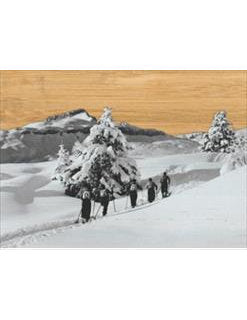 Postkarte. Bambus Swiss Colored