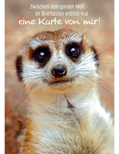 Postkarte. Kultura / Weisheiten/Sprüche / Hoch