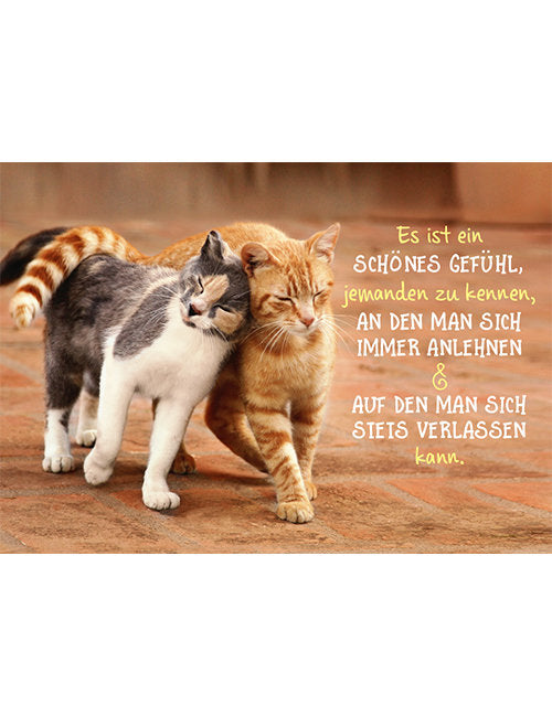 Postkarte. Kultura / Weisheiten/Sprüche / Quer