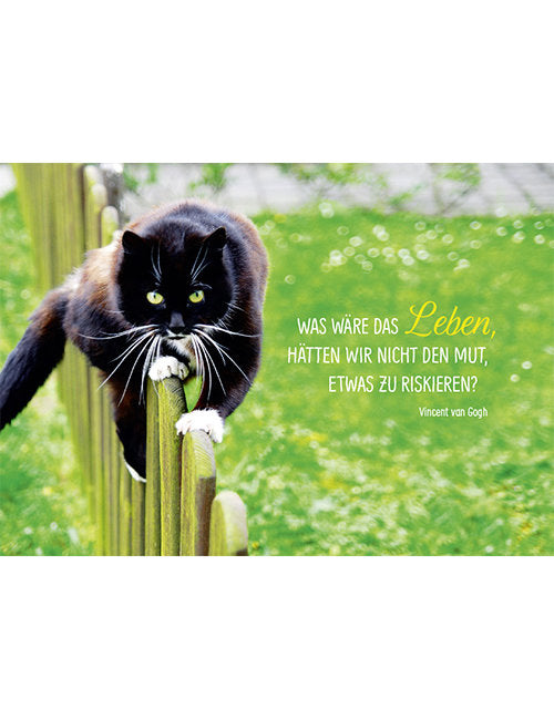 Postkarte. Kultura / Weisheiten/Sprüche / Quer