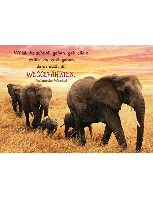 Postkarte. Kultura / Weisheiten/Sprüche / Quer
