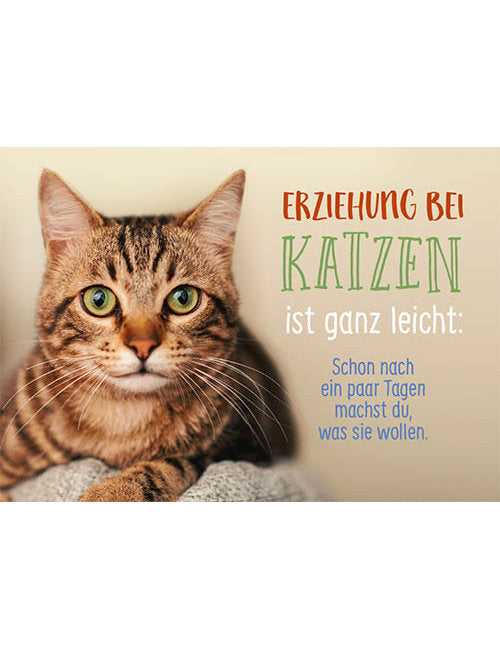 Postkarte. Kultura / Weisheiten/Sprüche / Quer