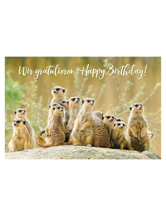 DK Geburtstag