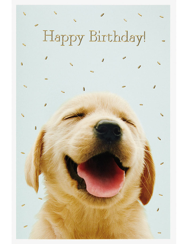 DK Geburtstag Uk Greetings