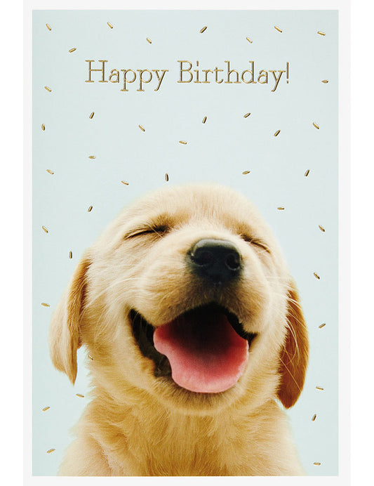 DK Geburtstag Uk Greetings
