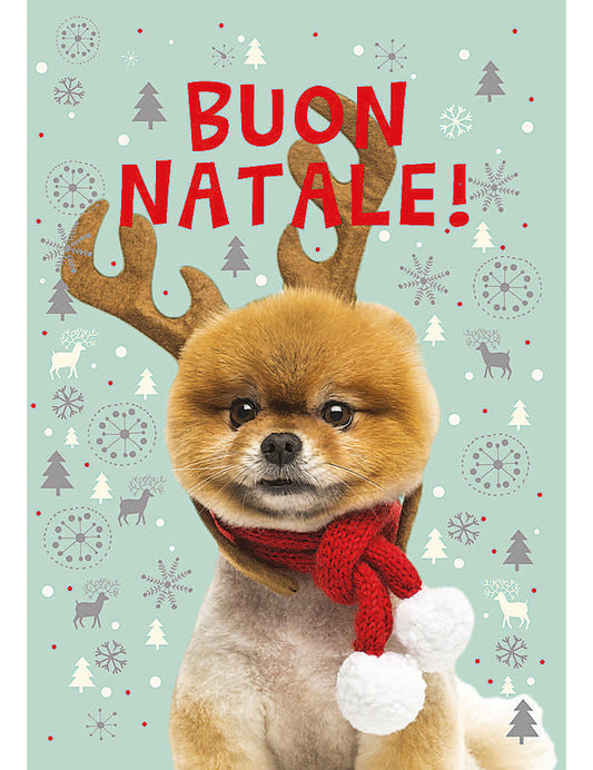 Biglietto Natale Fotografico C/foil E Glitter