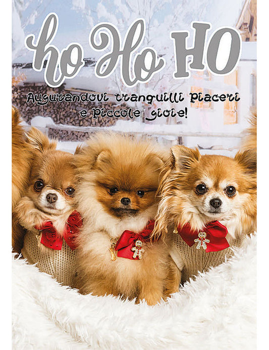 Biglietto Natale Fotografico C/foil E Glitter
