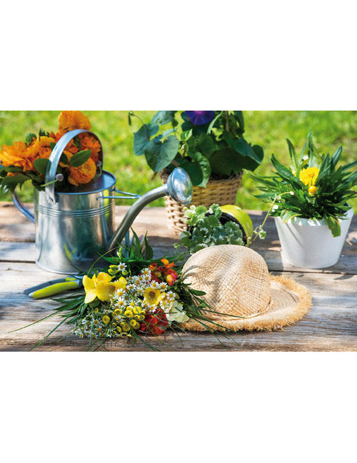 DK Blanco Foto Blumensträusse