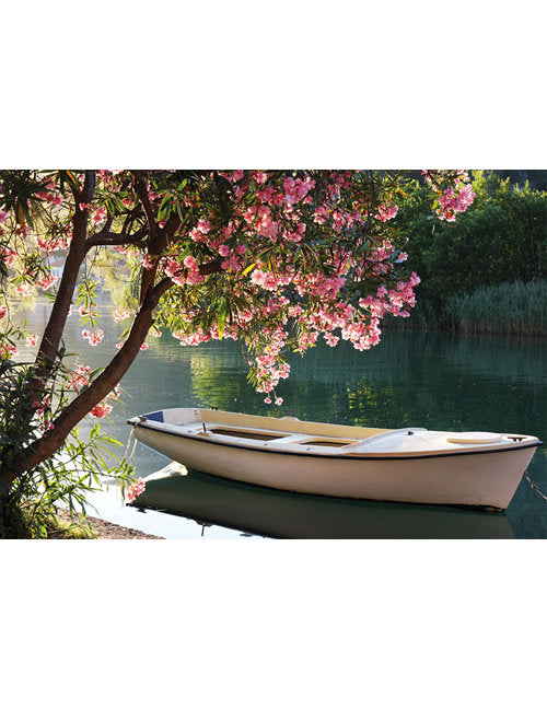 DK Blanco Foto Schiff