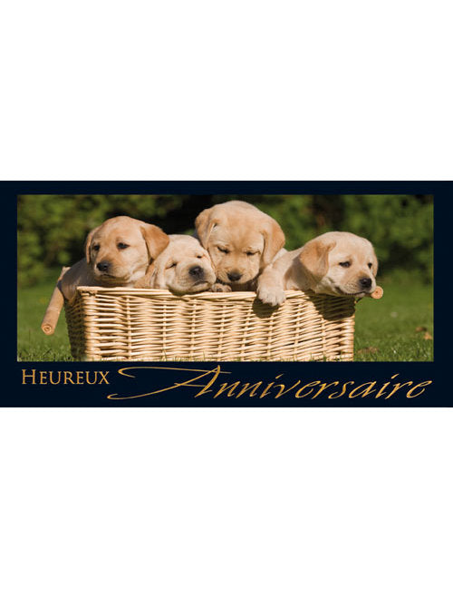 CD Anniversaire A6/5 3-1206