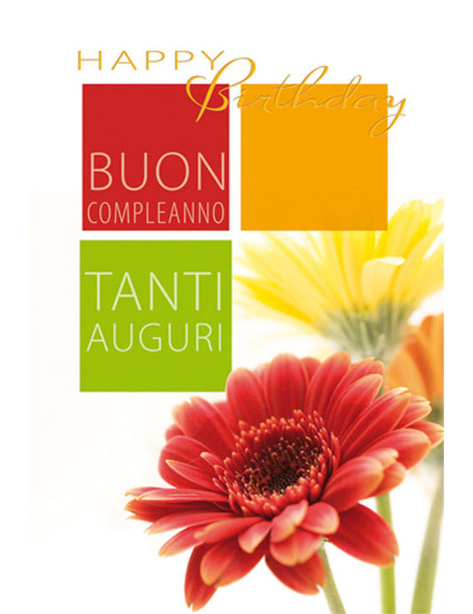 Biglietto Compleanno