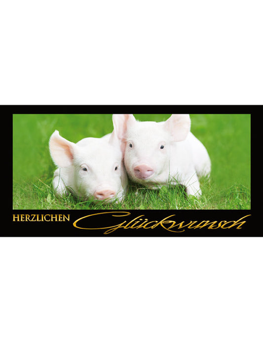 Herzlichen Glückwunsch: Schweinchen