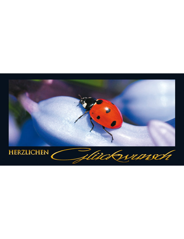 Herzlichen Glückwunsch: Marienkäfer