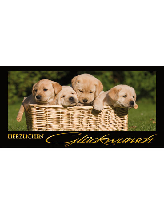 Herzlichen Glückwunsch: Hunde