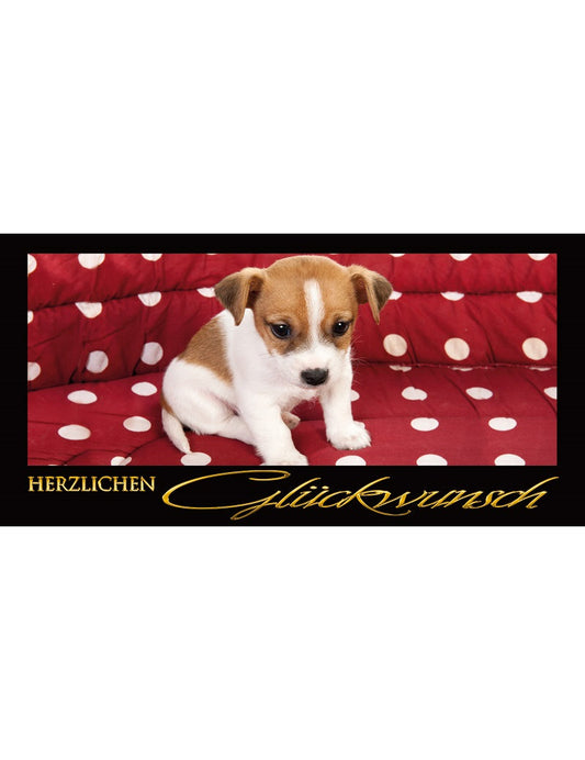 Herzlichen Glückwunsch: Hund
