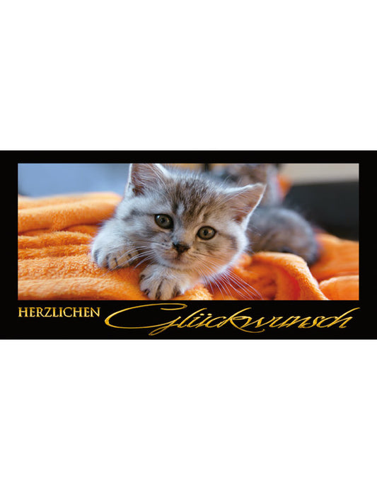 Herzlichen Glückwunsch: Katze