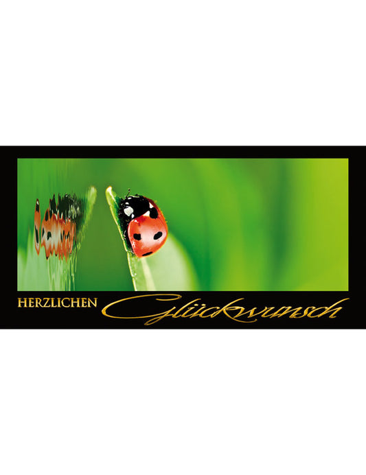 Herzlichen Glückwunsch: Marienkäfer