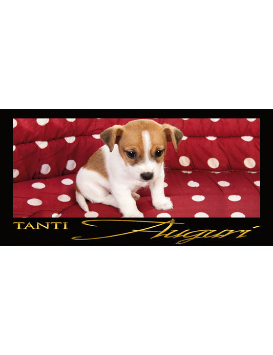 Tanti Auguri: Cane