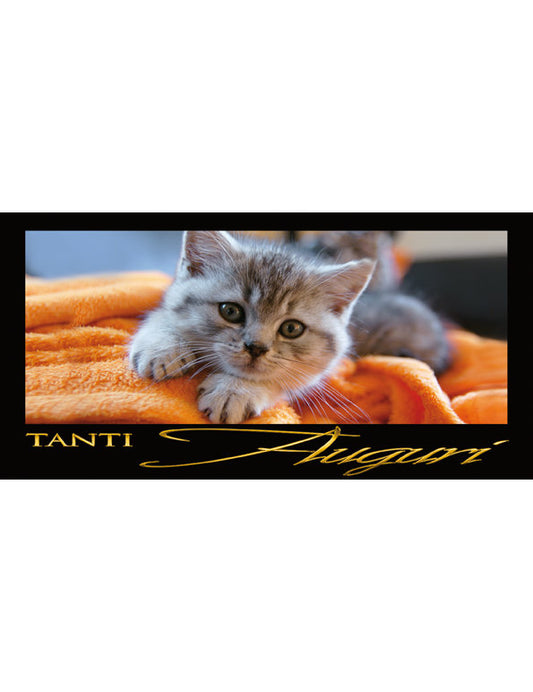 Tanti Auguri: Gatto