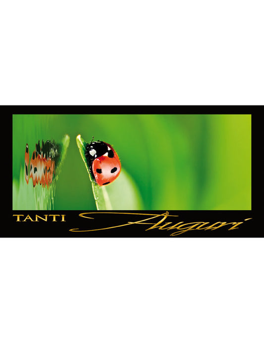 Tanti Auguri: Coccinella