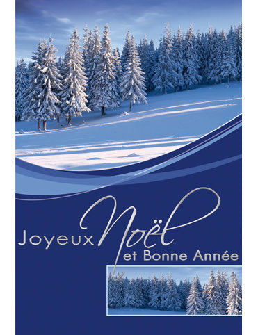 Carte double Noël 98-3938