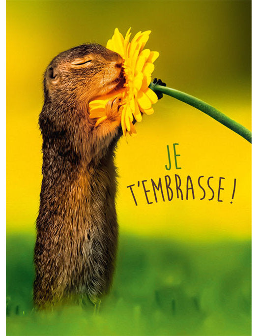 Postkarte Lichtblicke Fr hoch