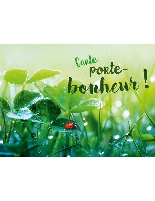 Postkarte Lichtblicke Fr hoch