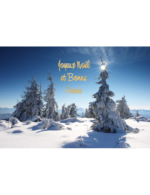 Carte double Noël 98-4213