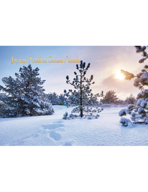 Carte double Noël 98-4219