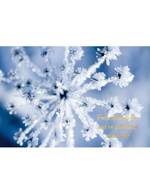 Doppelkarte Winter Weihnachten