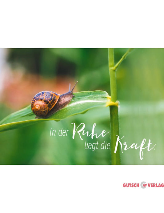 Postkarte. Kultura / Weisheiten/Sprüche / Quer