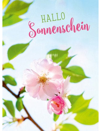 Postkarte. Lichtblicke / hoch